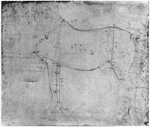 Studie van een paard