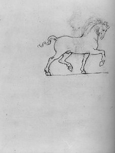 Studie van een paard, ca. 1480 1945