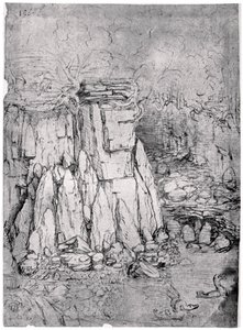 Studie van een rotsachtige grot met eenden, 1482-1485 1954 door Leonardo da Vinci