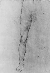 Studie van de onderste helft van een naakte man die naar voren kijkt, ca. 1480, 1945