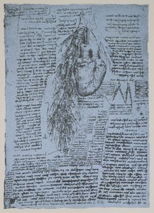 Het hart en de bronchiale slagaders, facsimile van het Windsor-boek door Leonardo da Vinci