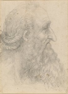 Het hoofd van een oude bebaarde man door Leonardo da Vinci