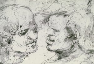 Twee hoofden door Leonardo da Vinci