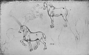 Twee studies van paarden, een van een galopperende ruiter en andere van paardenbenen, ca. 1480 1945 door Leonardo da Vinci