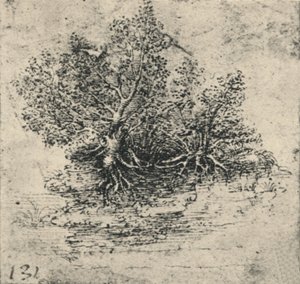 Twee bomen aan de oever van een stroom, c1480 door Leonardo da Vinci