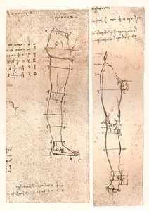 Twee tekeningen ter illustratie van de theorie van de proporties van het menselijk figuur, ca. 1472-ca. 1519, 1883 door Leonardo da Vinci