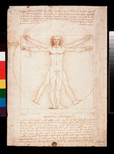 Vitruviusman