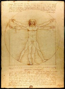 Vitruviaanse man door Leonardo da Vinci