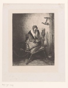  door Leopold Flameng