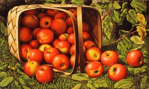 Mand met Appels