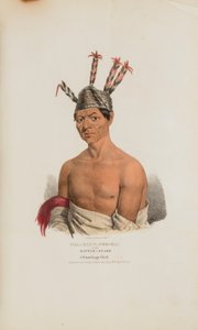 WAA-KAUN-SEE-KAA of de ratelslang; een Winnebago opperhoofd, uit de Aboriginal Portfolio door Lewis, James Otto