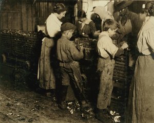 10-jarige Jimmie die al 3 jaar schilt (6 potten per dag) met een 11-jarige jongen die 7 potten schilt bij Varn und Platt Canning Co., Bluffton, South Carolina, 1913 door Lewis Wickes Hine