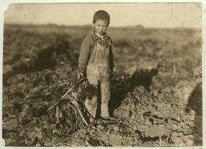 6-jarige Jo die suikerbieten trekt op een boerderij bij Sterling, Colorado, 1915
