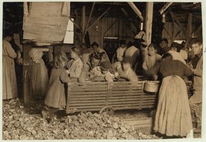Bill May, 5 jaar oud, die 15 cent per dag verdient, in de schuur van de Barataria Canning Company, Biloxi, Mississippi, 1911