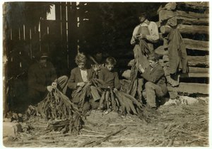Zonen van J.H. Burch, 12, 14 en 17 jaar oud, strippen tabak tijdens schooluren in Warren County, Rockfield, Kentucky, 1916
