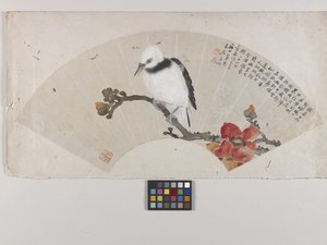 Vogel en Hibiscus