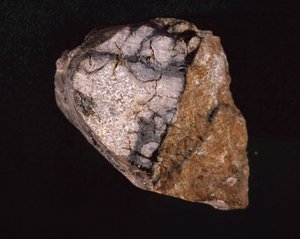 Meteoriet gevonden in India in 1875 - Museum voor Natuurgeschiedenis, Parijs door Unbekannt Unbekannt