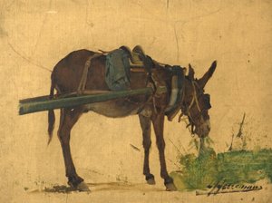 Studie van een muilezel
