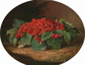 Frambozen, ca. 1859