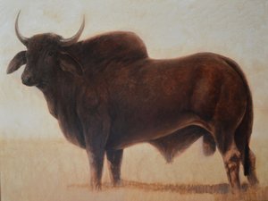 Brahmaanse Stier door Lincoln Seligman