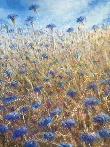 Korenbloemen 2