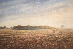 Hondenwandeling 1