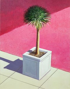 Kleine palm, 1995 door Lincoln Seligman