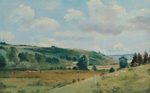 Landschap