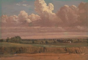 Landschap met korenveld