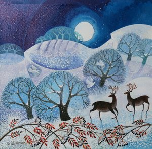 Sneeuwland door Lisa Graa Jensen