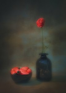 door Liu Xing