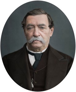 Lord Napier van Magdala, 1878