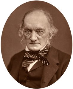 Richard Owen, 1878 door Lock and Whitfield