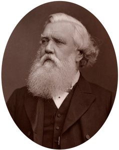 Right Hon Austen Henry Layard DCL, Britse ambassadeur in Constantinopel, 1877