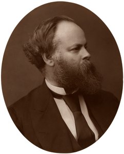 Samuel Plimsoll, Esq, MP, Britse liberale politicus en sociaal hervormer door Lock and Whitfield