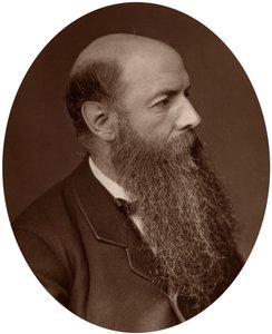 Sir Wilfrid Lawson, politicus, MP voor Carlisle, 1882 door Lock and Whitfield
