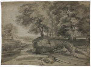 Rivierlandschap met beboste oevers