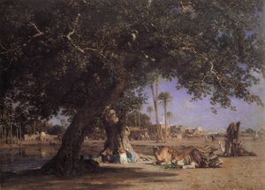 Uitzicht op Shubra