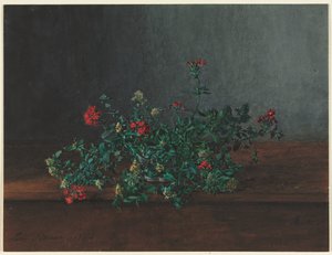Stilleven met wilde bloemen door Léon Bonvin