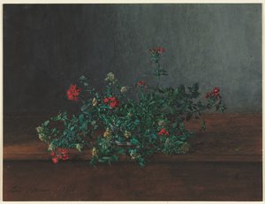 Stilleven met wilde bloemen door Léon Bonvin