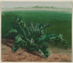 Studie van een plant, mogelijk distel