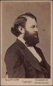 Portret van de violist en componist Joseph Joachim