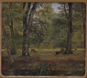 Charlottenlund Bos, ten noorden van Kopenhagen