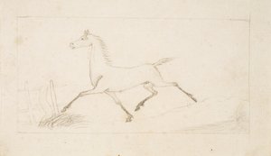 Een Paard in Draf