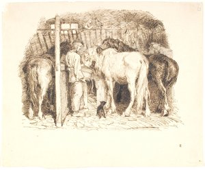 Paarden in een stal krijgen water van een jongen