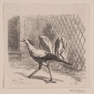 Secretaris in Jardin des Plantes door Lorenz Frølich