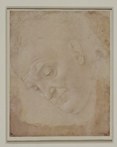Portret van een kale man, driekwart naar links gedraaid ... door Lorenzo di Credi
