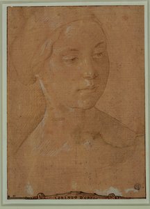 Portret van een vrouw, driekwart gezicht, haar in een net ... door Lorenzo di Credi