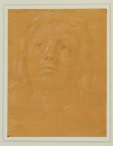 Portret van een jongeman, gezicht, opkijkend ... door Lorenzo di Credi