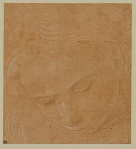 Portret van een jonge man, naar beneden kijkend ... door Lorenzo di Credi